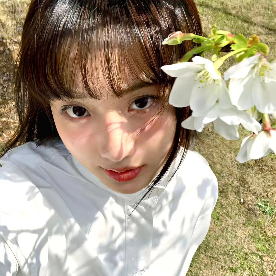 法网追凶第一季